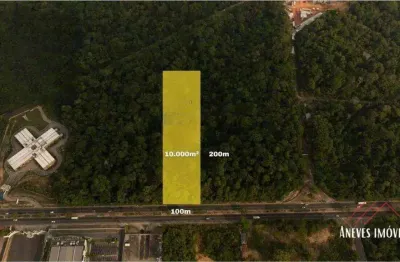 Terreno para alugar, 10000 m² por r$ 40.000/mês - ponta negra - manaus/am