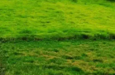 Terreno à venda na Rua Tomi Saburo Yamamoto, Jardim das Cerejeiras, Arujá