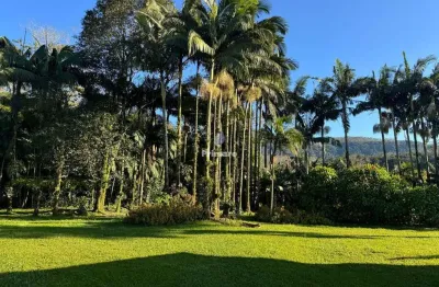 Chácara / sítio com 3 quartos à venda na Vila Maria, 100, Zona Rural, Nova Veneza