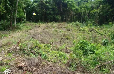 Terreno à venda, 10559 m² por r$ 1.600.000,00 - são francisco - niterói/rj