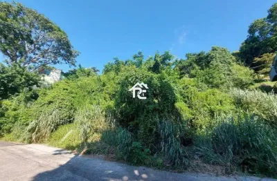 Terreno à venda, 3000 m² por r$ 750.000,00 - são francisco - niterói/rj