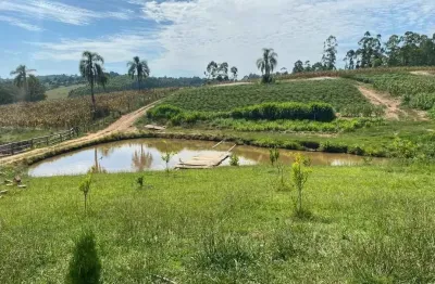 Chácara / sítio à venda na Rua Manoel José de Medeiros Bedeco, Morro do Leôncio, Taquara