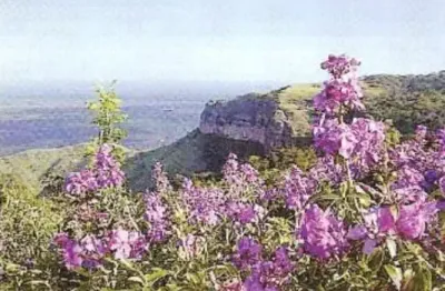 Chácara / sítio à venda na Rua Fernando Correa, 100, Bom Clima, Chapada dos Guimarães