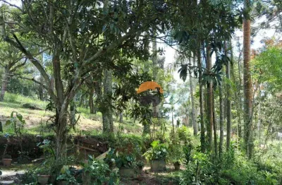 Terreno à venda na Rua Luís Ferreira Gil, 134, Centro (Caucaia do Alto), Cotia