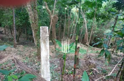 Terreno à venda, 3111 m² por r$ 450.000,00 - cigarras - são sebastião/sp