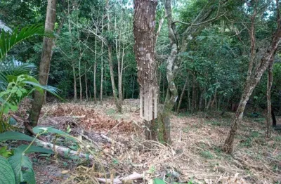 Terreno à venda, 3416 m² - cigarras - são sebastião/sp