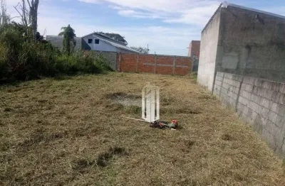 Terreno à venda, 314 m² por r$ 276.000,00 - balneário dos golfinhos - caraguatatuba/sp