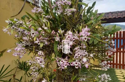 Casa à venda, 108 m² por r$ 690.000,00 - martim de sá - caraguatatuba/sp