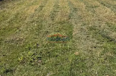 Terreno à venda no Tanque, Atibaia 