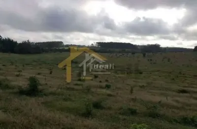 Chácara / sítio com 1 quarto à venda na deoclecio rodrigues, 1, berto círio, nova santa rita por r$ 1.272.000