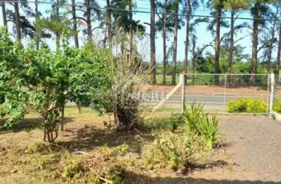 Chácara / sítio com 2 quartos à venda na avenida avelino maciel neto, 21848, três figueiras, glorinha por r$ 300.000