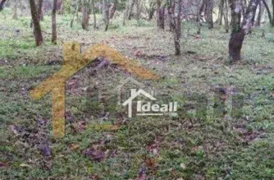 Terreno residencial à venda, vera cruz, gravataí - te1009.