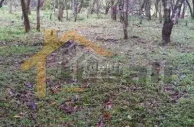 Terreno à venda na rodovia rs 020, vera cruz, gravataí por r$ 150.000