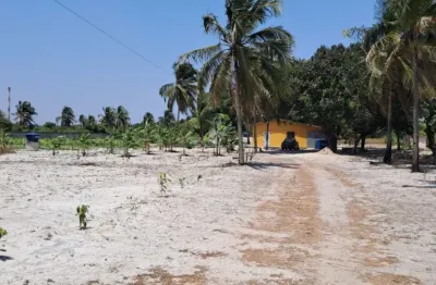 Para vender rápido - sitio com casa com várias arvores frutiferas e solo fertil