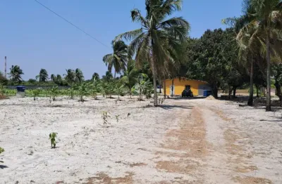 Sitio com casa á venda na parada a 3km do pecém em são gonçalo do amarante