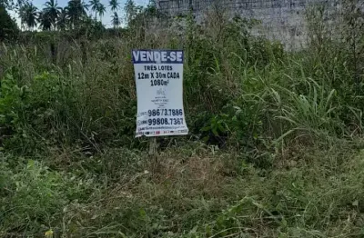 Vende - se 3 lotes conjugados na colônia de férias do pecém  - cada um 12x30