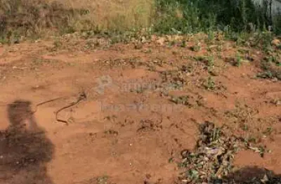 Terreno à venda no Centro, Adolfo 