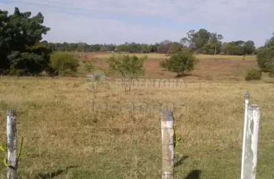 Porque comprar este sítio em são josé do rio preto!!!!! - com produção de madeira, frutas, açaí e outros - tendo acima de 23 alqueires