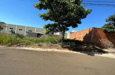 Terreno à venda no Residencial Santa Regina, São José do Rio Preto 
