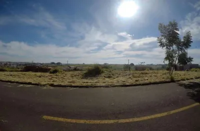 Terreno à venda no Jardim Menezes, Bady Bassitt 