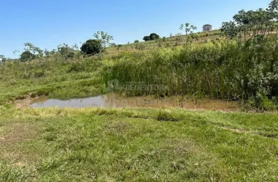 Fazenda à venda no Centro, Santa Fé do Sul 