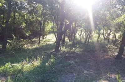 Terreno / área à venda  com 5.670 m³ na estância gramado (zona rural)