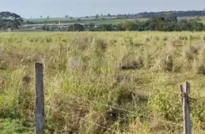 Terreno comercial à venda no Centro, Álvares Florence 
