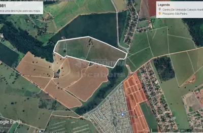 Terreno comercial à venda no Parque Residencial Dignidade, São José do Rio Preto 