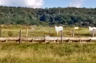 Fazenda à venda na Zona Rural, Caiapônia 