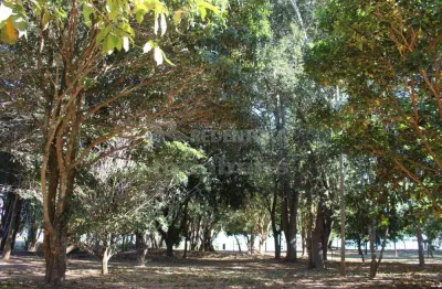 Chácara / sítio com 2 quartos à venda na Zona Rural, Adolfo 