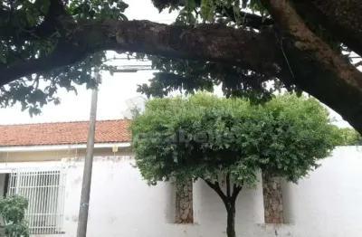 Casa com 4 quartos para alugar no Jardim América, São José do Rio Preto 
