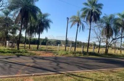 Castores - onda verde - (33 mil metros) 3,378682 hectares; com 2 casas