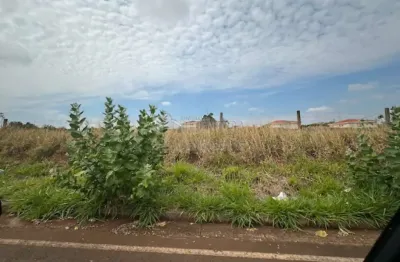 Terreno comercial à venda no Giardino, São José do Rio Preto 