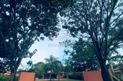 Chácara / sítio com 4 quartos para alugar na Zona Rural, Adolfo 