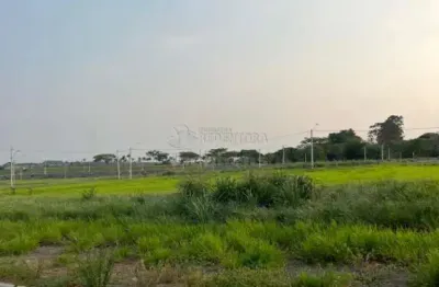 Terreno à venda no Jardim Vitagliano, São José do Rio Preto 