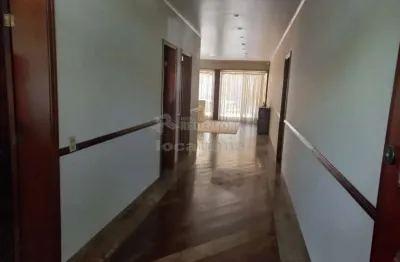 Casa com 4 quartos à venda no Centro, São José do Rio Preto 