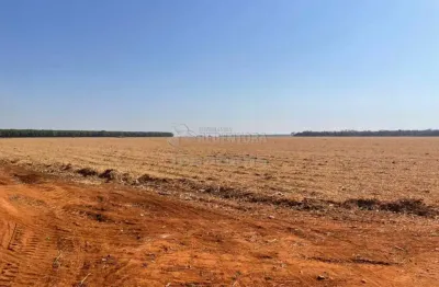 Excelente fazenda na vila barroso, com 206,66 ha de área total!
