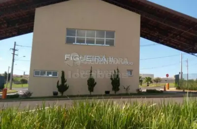 Terreno em condomínio fechado à venda no Residencial Figueira II, São José do Rio Preto 