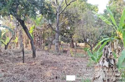 Área central - casa tipo chácara, mas na área urbana, tendo 2.250 m² de área, mais uma casa