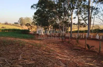 Fazenda à venda no Centro, Américo de Campos 