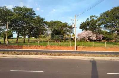 Terreno comercial à venda na Morada Campestre, São José do Rio Preto 