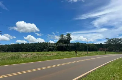 Terreno comercial à venda na Zona Rural, Potirendaba 