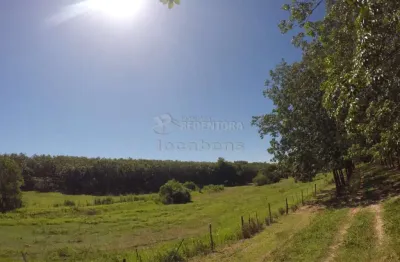 Fazenda em seringueira no  interior paulista no município de auriflama.