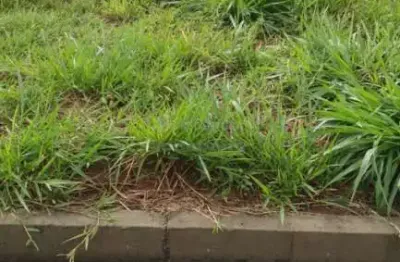 Terreno em condomínio fechado à venda na Quinta do Lago - Lac Léman, São José do Rio Preto 