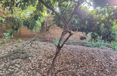 Nova granada - região central - lote com 377,65 m² bom local, residencial e comercial