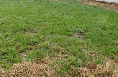 Terreno em condomínio fechado à venda no Parque Residencial Nature I, São José do Rio Preto 