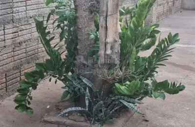 Casa localizada no parque residencial nova esperança com 2 dormitórios e 3 vagas de garagem.