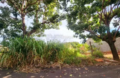 Terreno à venda na Rua Domingos De Freitas Mendes, Lago Sul, Bady Bassitt