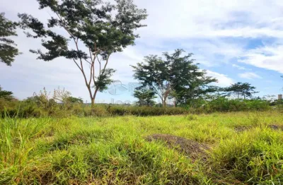 Terreno à venda na Rua Domingos De Freitas Mendes, Lago Sul, Bady Bassitt