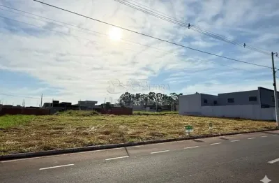 Terreno à venda no Residencial Setsul II, São José do Rio Preto 